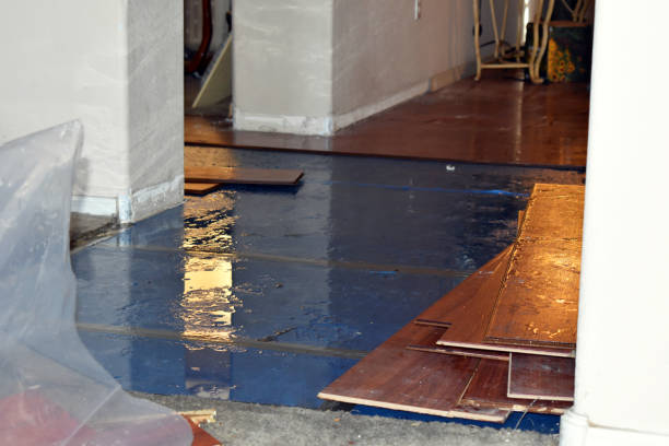 Professional Emergency Water Damage technician working in Section, AL